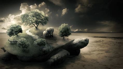 laptop wallpaper|best laptop desktop wallpaper.